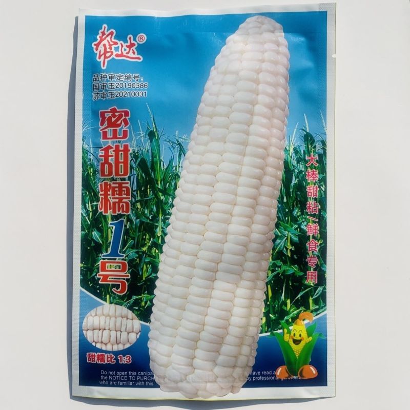 密甜糯1号玉米种子白色鲜食糯玉米种子甜糯北方玉米种籽甜糯