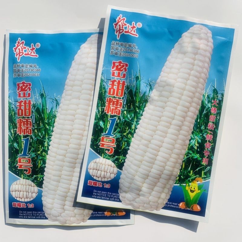 密甜糯1号玉米种子白色鲜食糯玉米种子甜糯北方玉米种籽甜糯