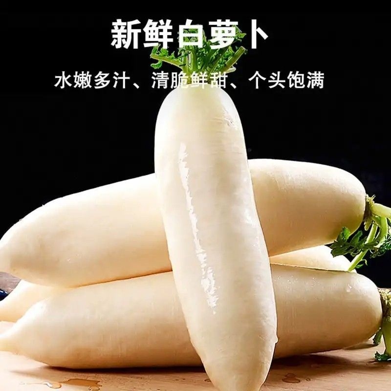 白萝卜产地看货论价保质保量欢迎订购支持打款发货