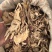 当归无硫全当归低硫当归