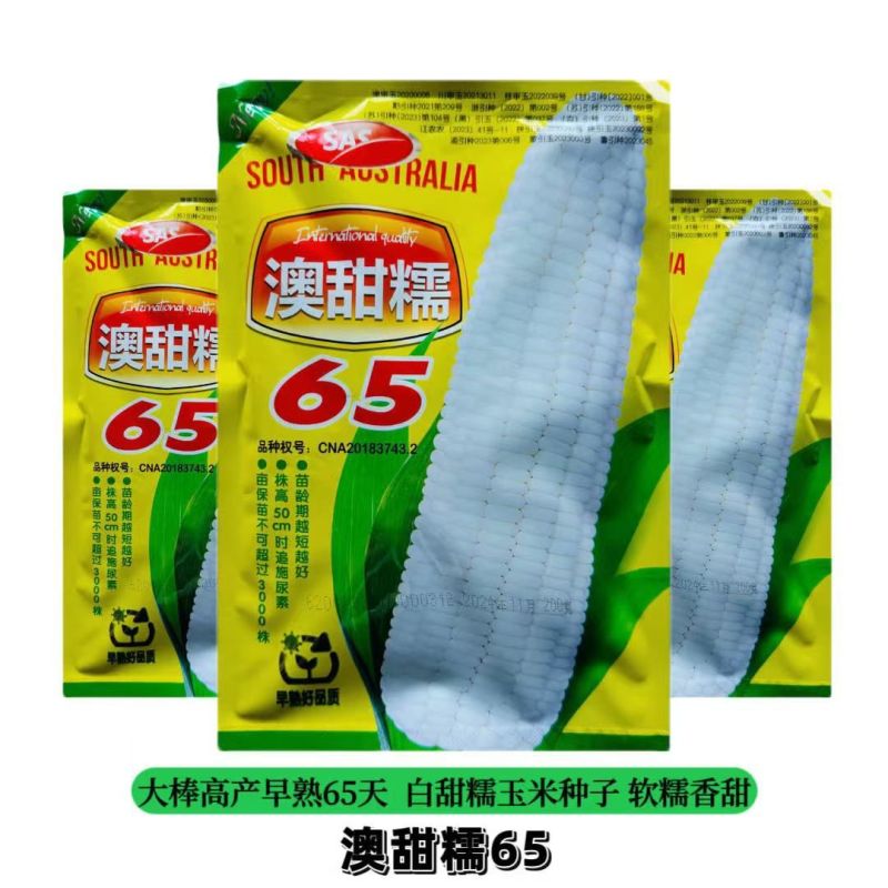 澳甜糯65糯玉米种子籽特早熟65天上市大棒甜糯苞谷糯玉