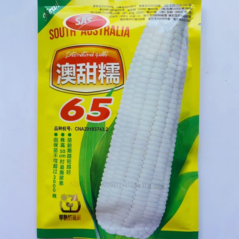 澳甜糯65糯玉米种子籽特早熟65天上市大棒甜糯苞谷糯玉