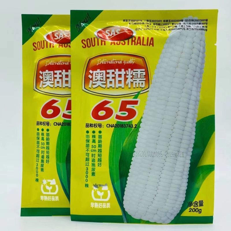 澳甜糯65糯玉米种子籽特早熟65天上市大棒甜糯苞谷糯玉