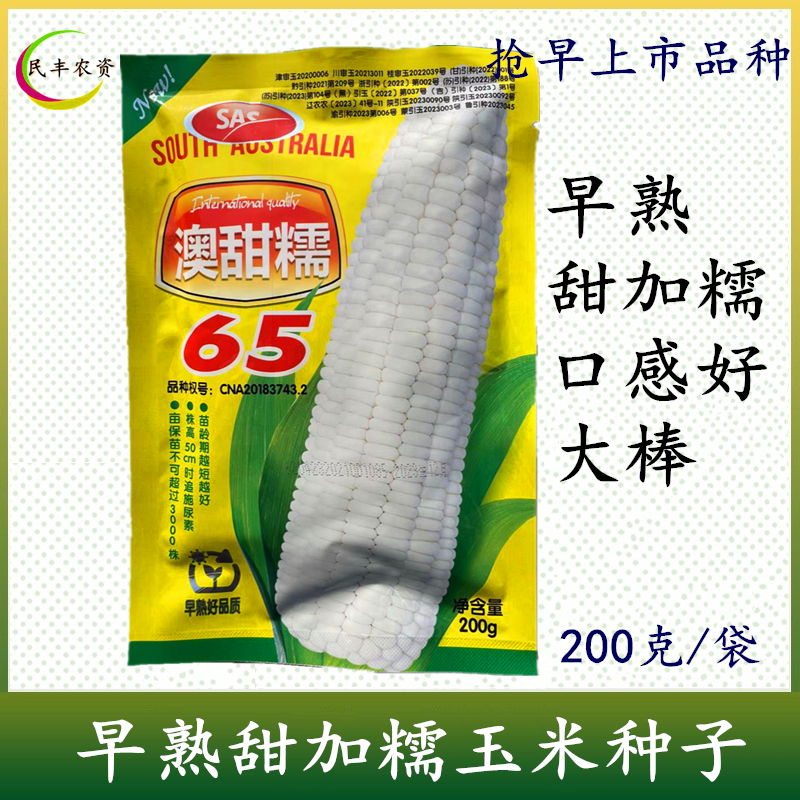 澳甜糯65糯玉米种子籽特早熟65天上市大棒甜糯苞谷糯玉