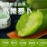 青萝卜产地看货论价保质保量支持视频看货打款发货