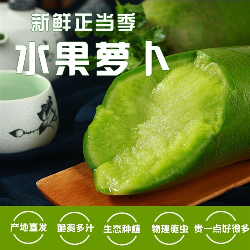 青萝卜产地看货论价保质保量支持视频看货打款发货