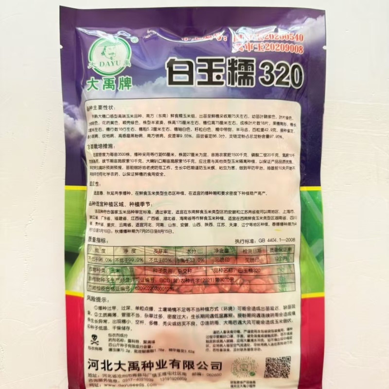 白玉糯320玉米种子早熟大棒白甜糯玉米种籽鲜食粘糯玉米种