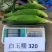 白玉糯320玉米种子早熟大棒白甜糯玉米种籽鲜食粘糯玉米种