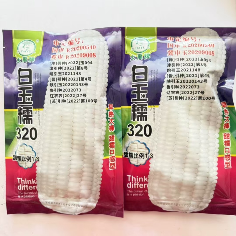 白玉糯320玉米种子早熟大棒白甜糯玉米种籽鲜食粘糯玉米种