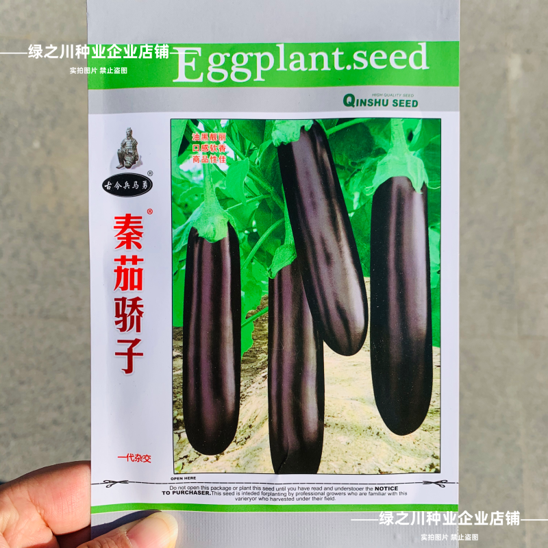 秦茄骄子绿长茄种子早熟绿萼黑亮绿肉茄子种子春夏秋四季高产