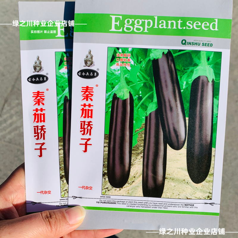 秦茄骄子绿长茄种子早熟绿萼黑亮绿肉茄子种子春夏秋四季高产