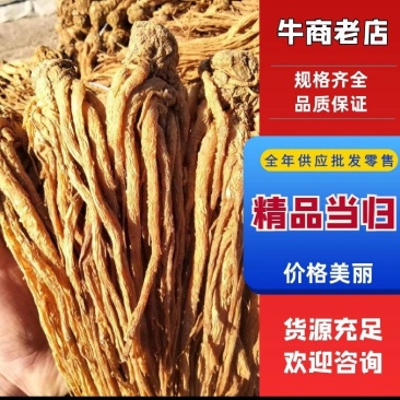 精品优质水洗黄当归十支