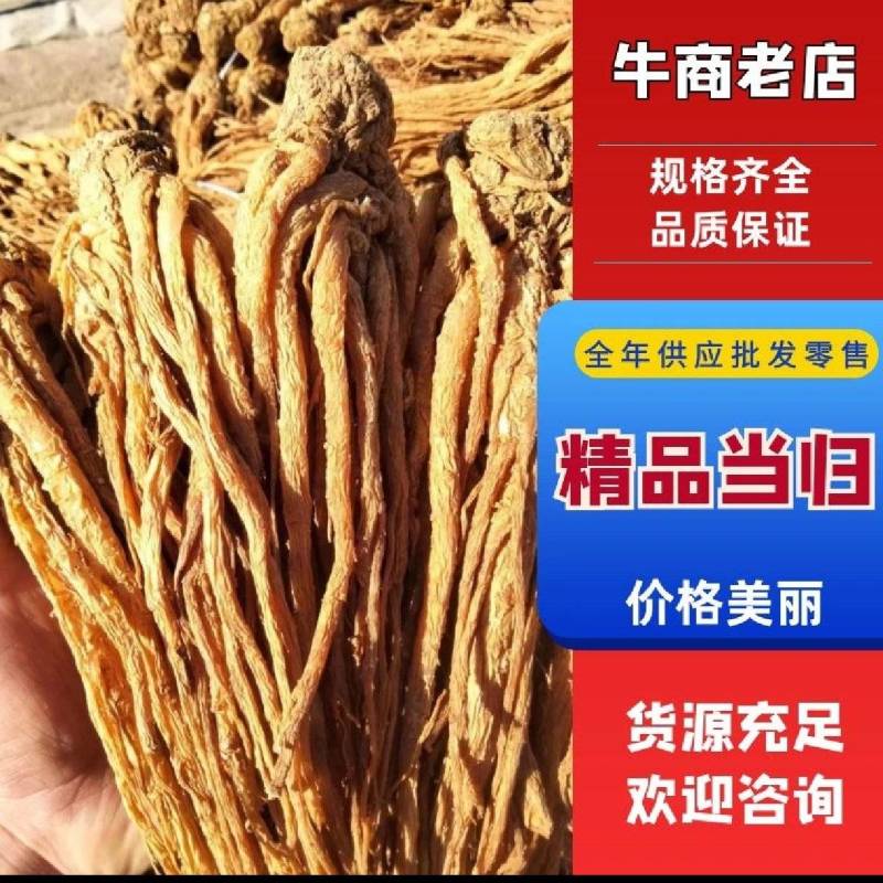 精品优质水洗黄当归十支