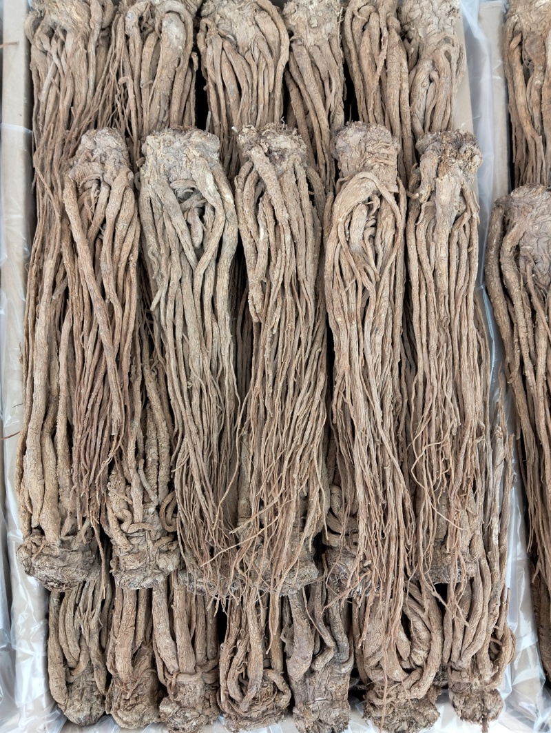 水洗无硫当归岷县直发保质保量供货批发零售