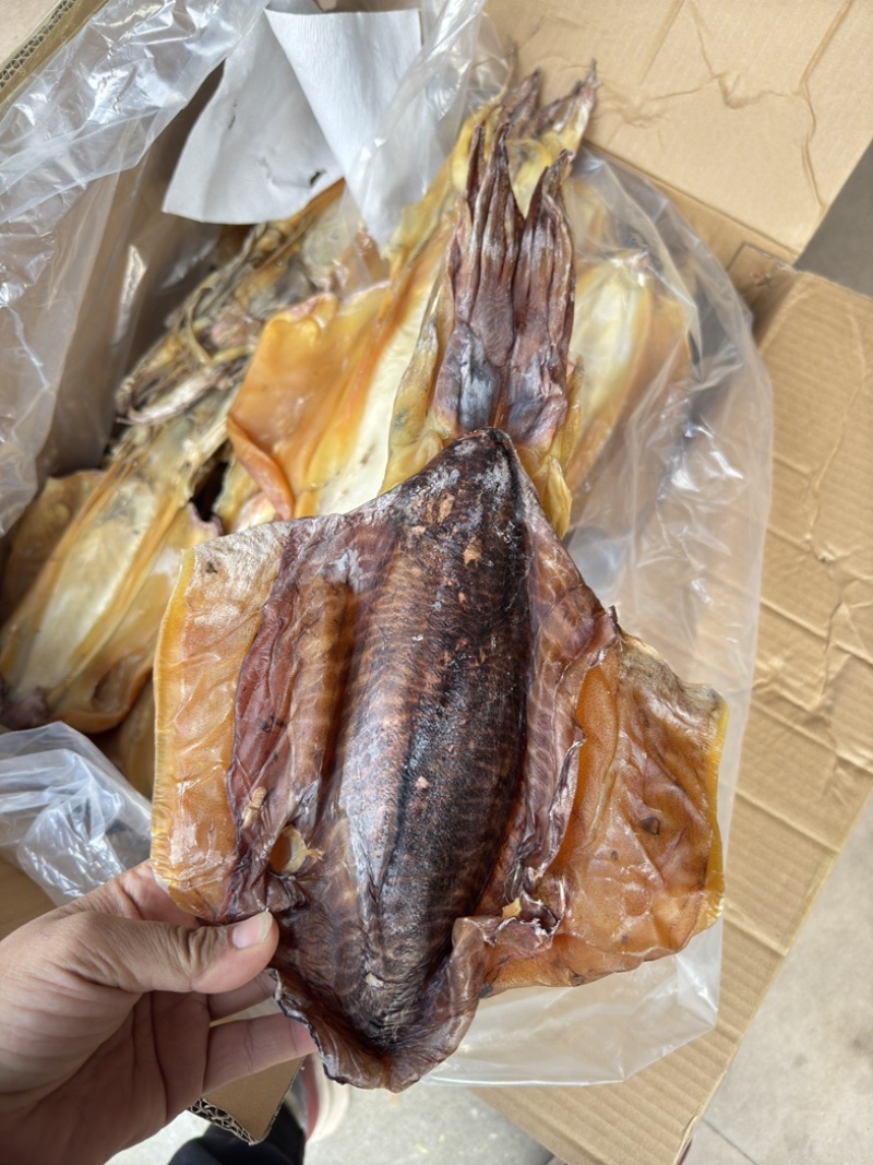 北海大墨鱼半斤以上一只淡干足干送礼年货