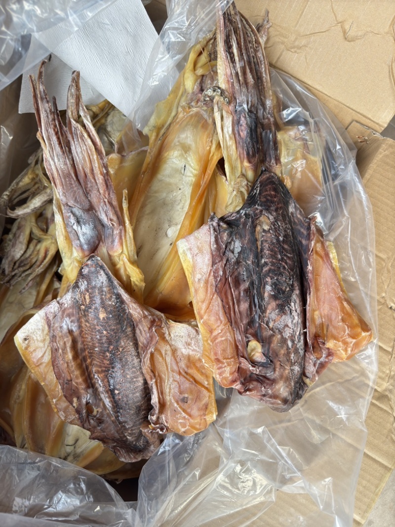 北海大墨鱼半斤以上一只淡干足干送礼年货