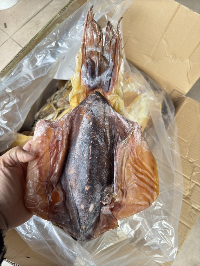 北海大墨鱼半斤以上一只淡干足干送礼年货