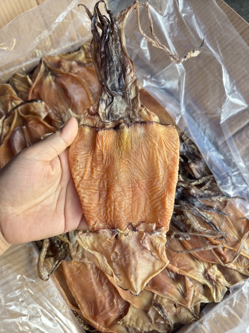 淡干鱿鱼批发干货红鱿鱼8-10条一斤阿根廷鱿鱼20斤