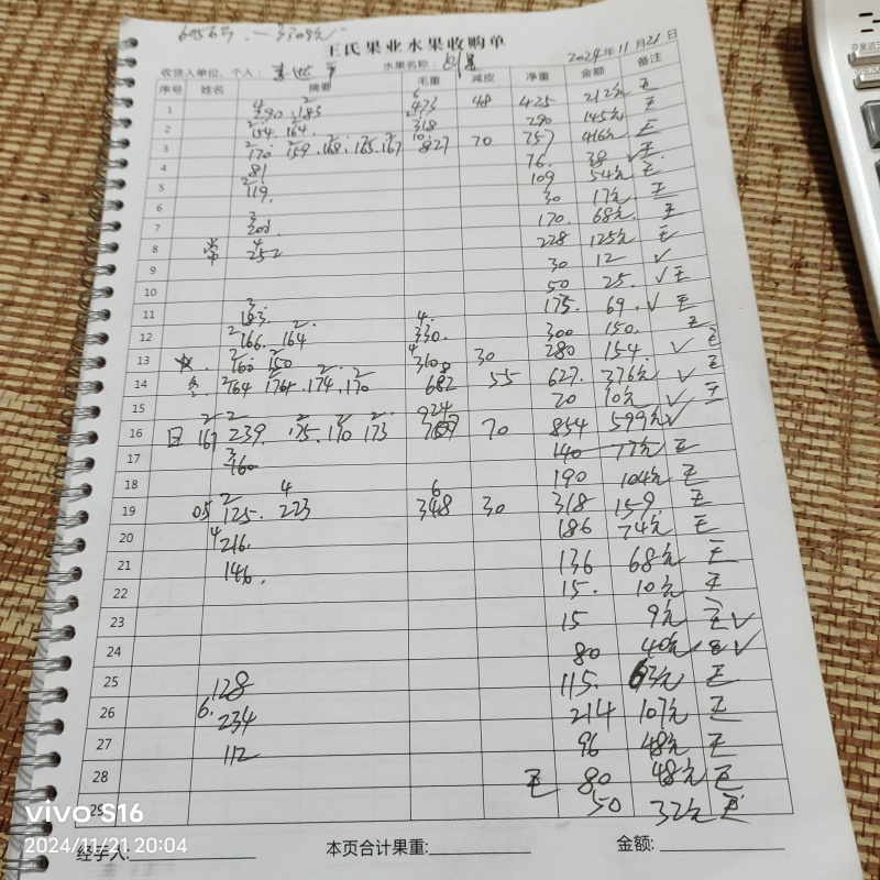 恭城柿饼大量上市，自然晾干，软粟香甜欢迎名界老板订购