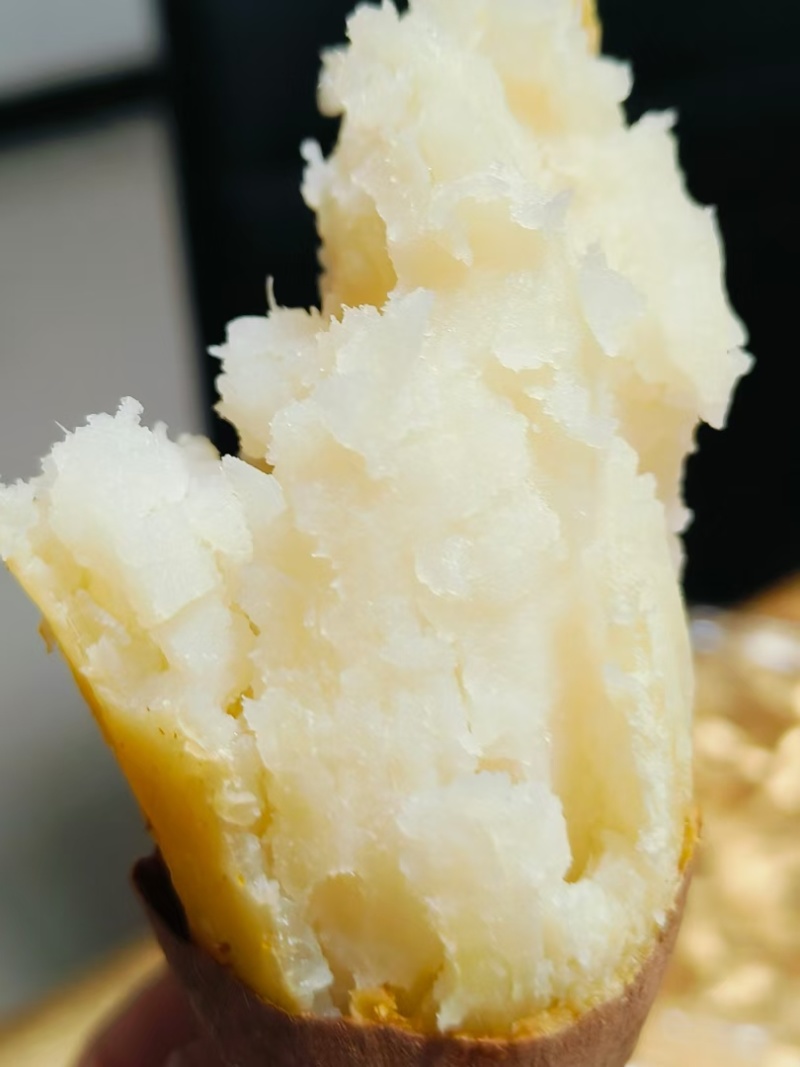行唐板栗红薯