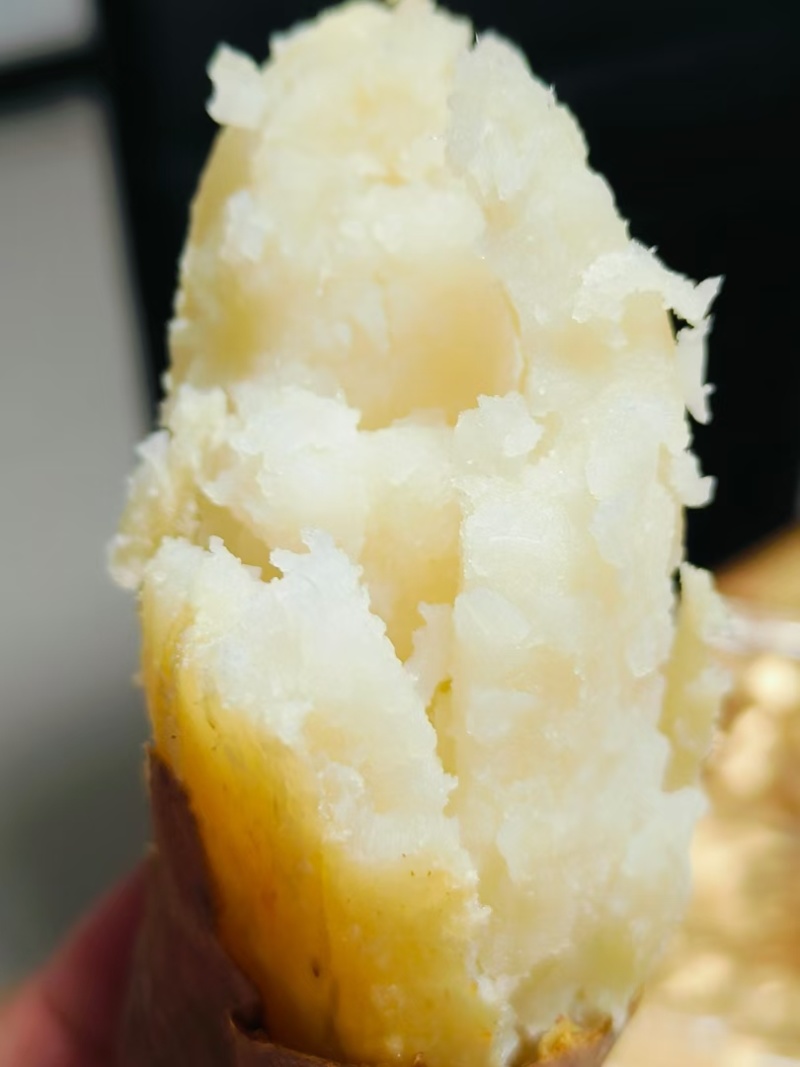 行唐板栗红薯