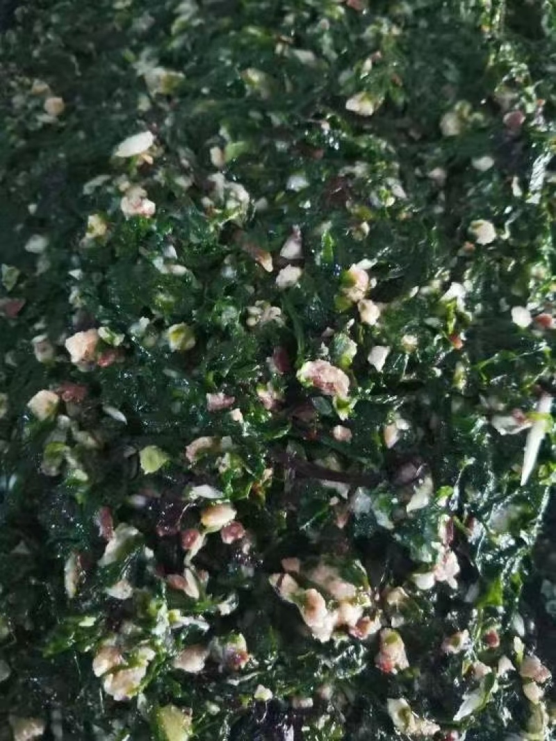 岛里特色海菜包子，海菜肉滋啦包子，海菜扇贝丁包子，素海菜包子