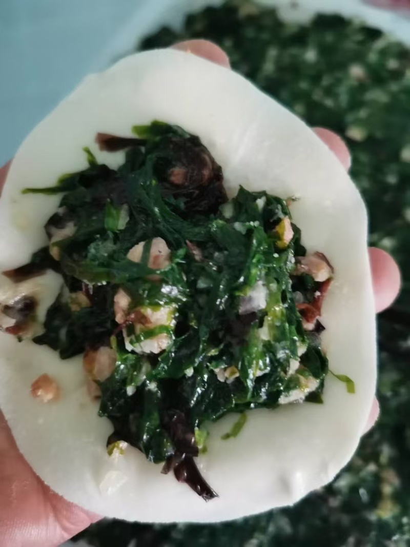 岛里特色海菜包子，海菜肉滋啦包子，海菜扇贝丁包子，素海菜包子