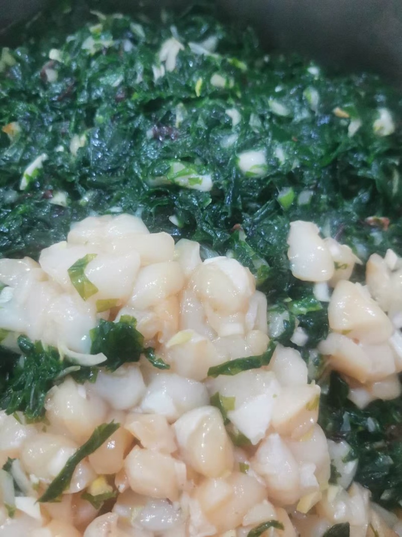 岛里特色海菜包子，海菜肉滋啦包子，海菜扇贝丁包子，素海菜包子