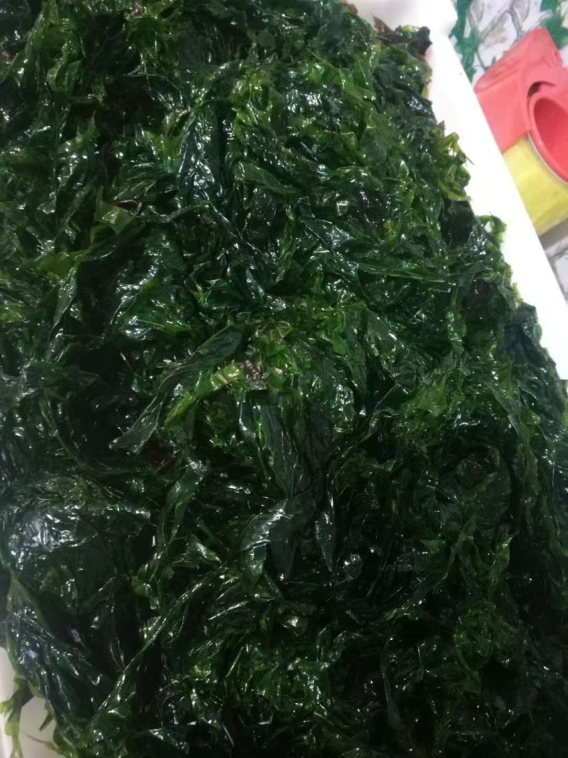 岛里特色海菜包子，海菜肉滋啦包子，海菜扇贝丁包子，素海菜包子