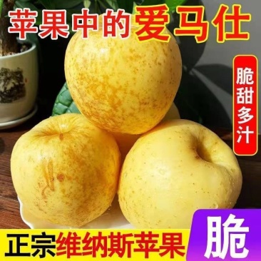 黄金维纳斯雀斑维纳斯丑苹果整车落地配一件代发