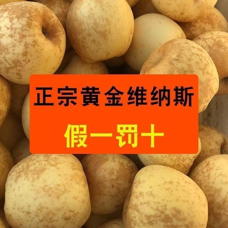 黄金维纳斯雀斑维纳斯丑苹果整车落地配一件代发
