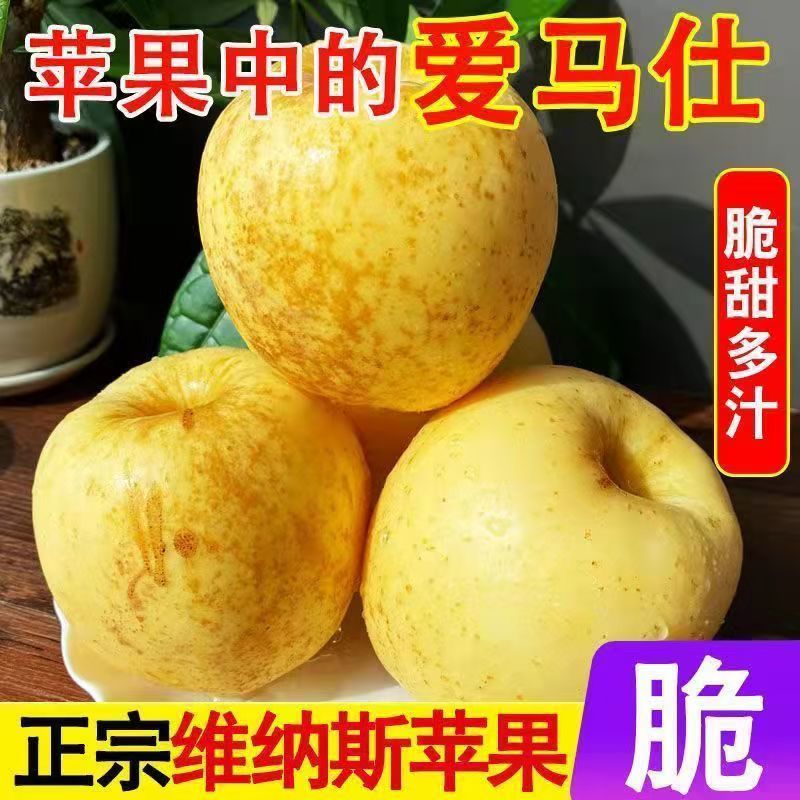 黄金维纳斯雀斑维纳斯丑苹果整车落地配一件代发