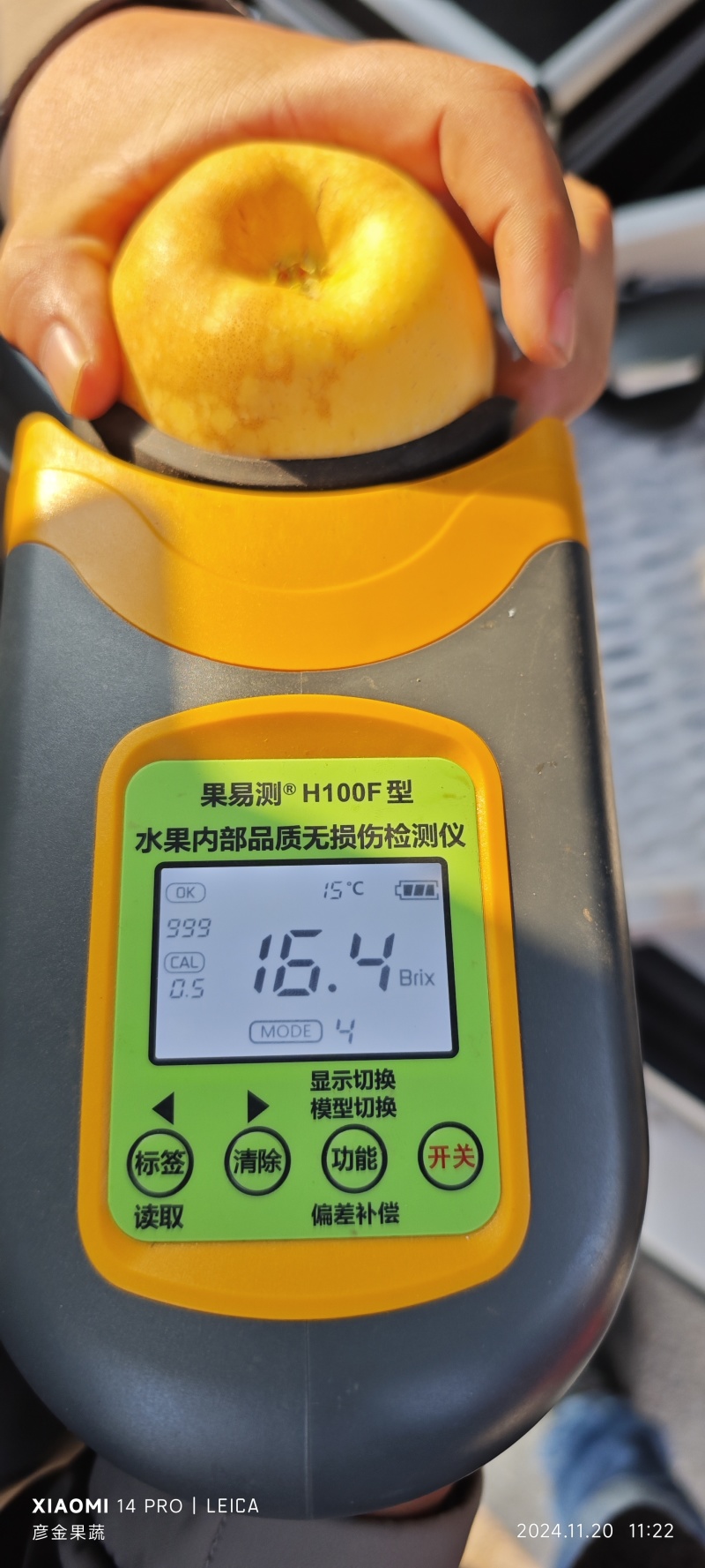 黄金维纳斯雀斑维纳斯丑苹果整车落地配一件代发
