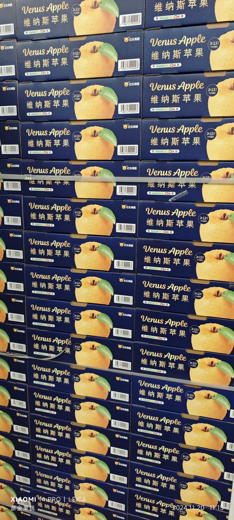 黄金维纳斯雀斑维纳斯丑苹果整车落地配一件代发
