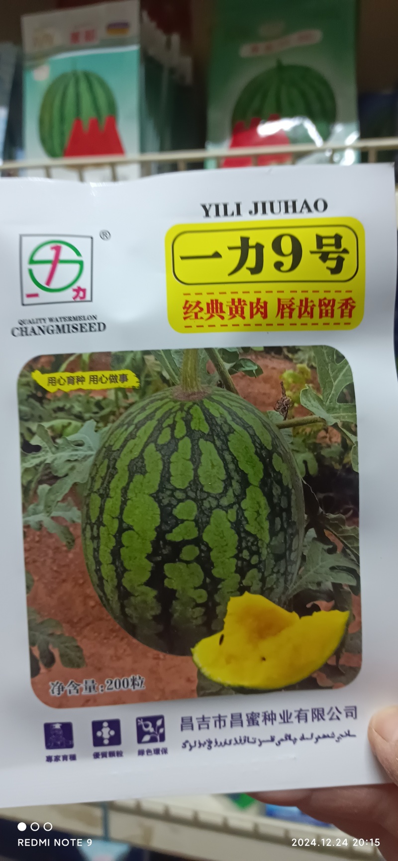 经典黄肉小果西瓜