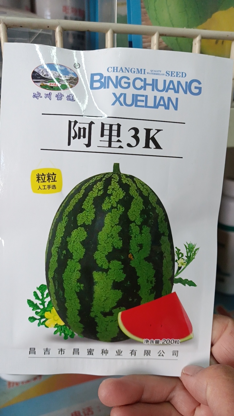 经典黄肉小果西瓜