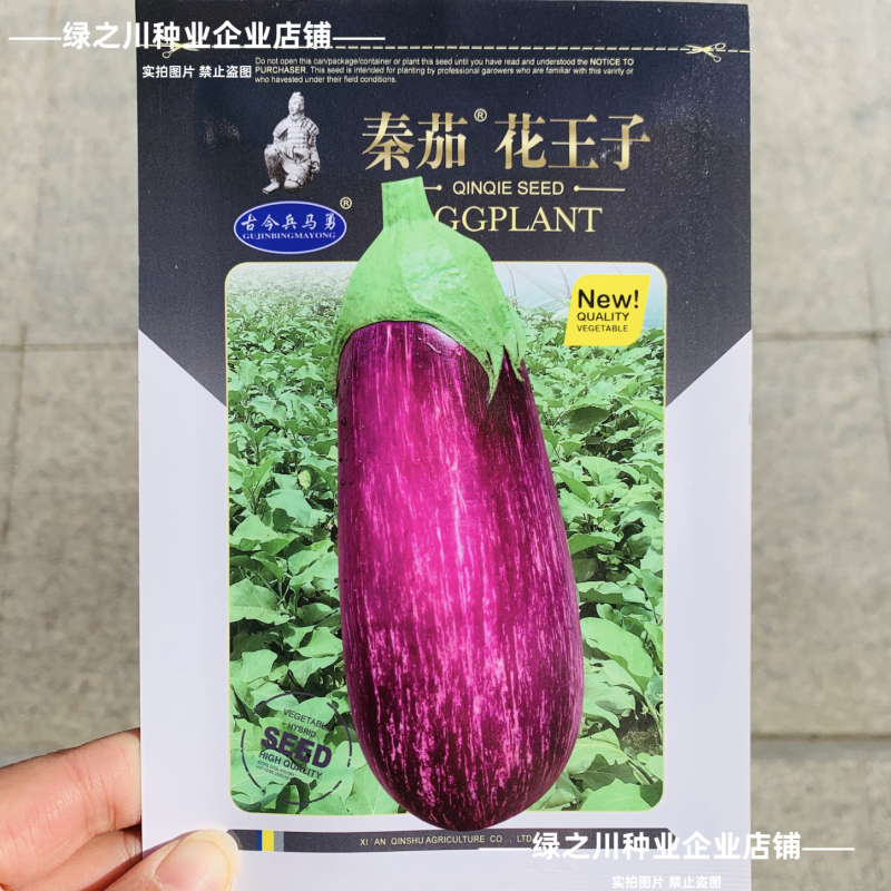 花茄子种子秦茄花王子彩茄种子短棒油亮竹丝茄种子面包茄种子