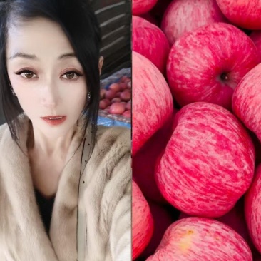 正宗【红富士苹果】条纹!全红都有,口感脆甜!对接商超电商