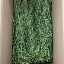 【电商专用】三级贡菜干云南贡菜包邮