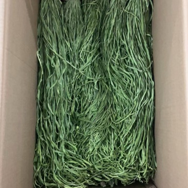 【电商专用】三级贡菜干云南贡菜包邮