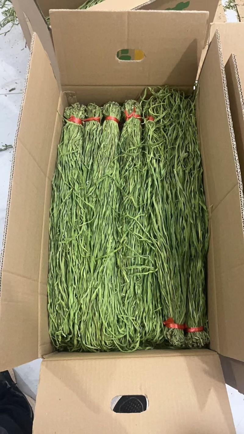 【电商专用】三级贡菜干云南贡菜包邮