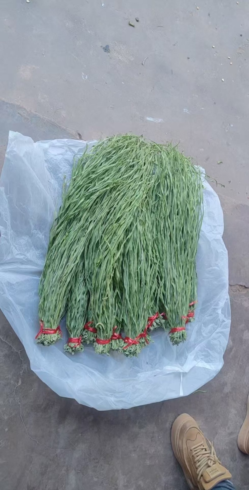 【包邮】云南贡菜干回头客多规格多样下单联系全国发货