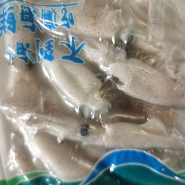 小米鱼