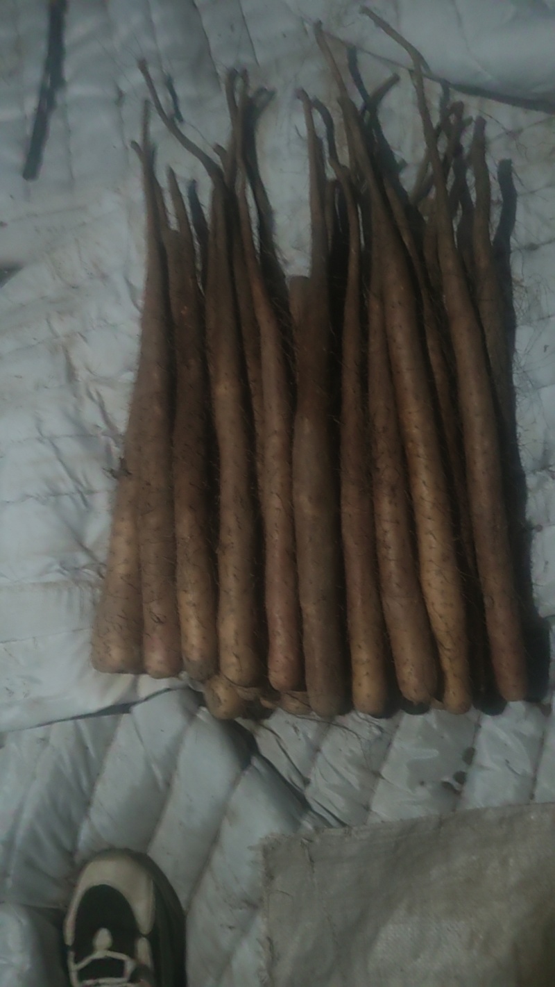 山药，河北双棒山药，大量供应，规格齐全，品质保证