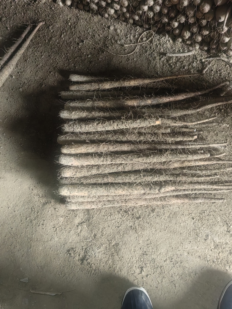 山药，河北双棒山药，大量供应，规格齐全，品质保证