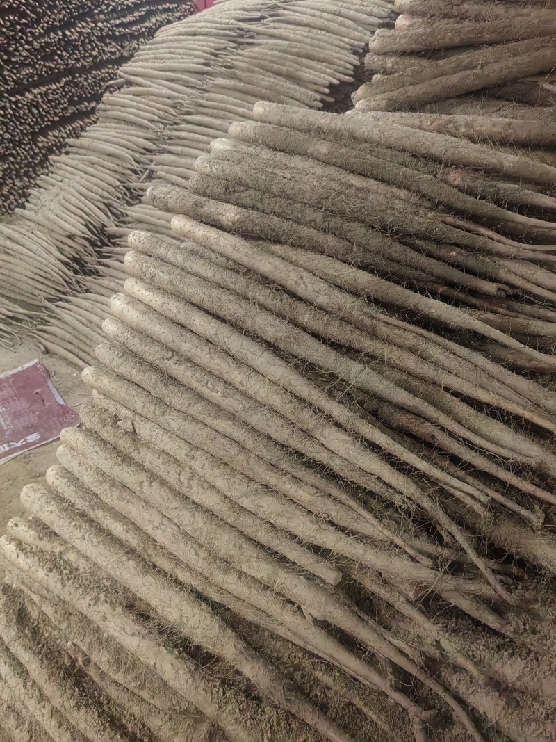 山药，河北双棒山药，大量供应，规格齐全，品质保证
