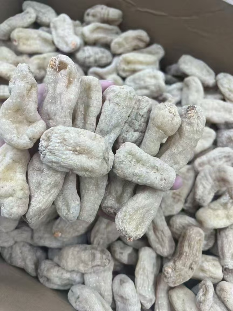 藏天麻藏区一手货源，支持（一件代发）包邮保质保量精品无硫