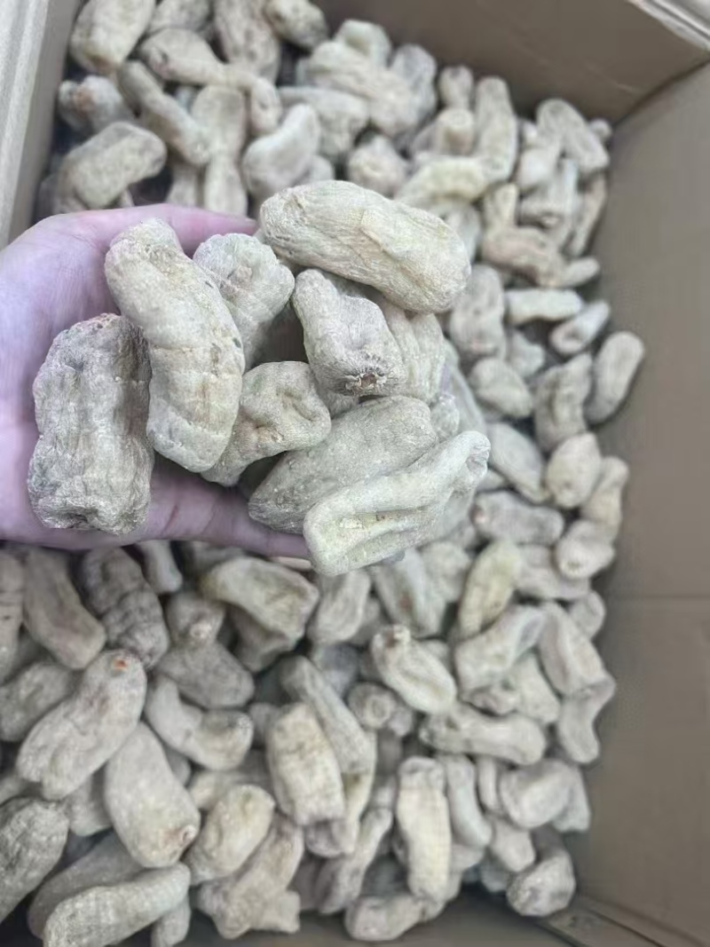 藏天麻藏区一手货源，支持（一件代发）包邮保质保量精品无硫