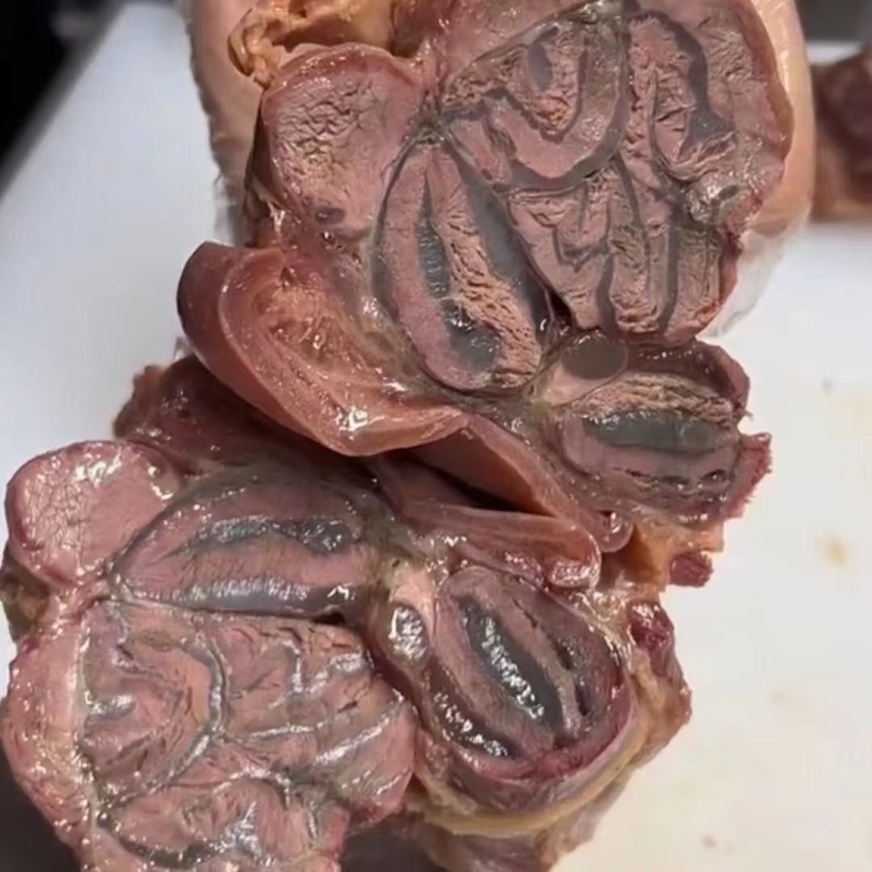 五香带皮熟马肉全国发货可快递物流量大优惠欢迎来电咨询