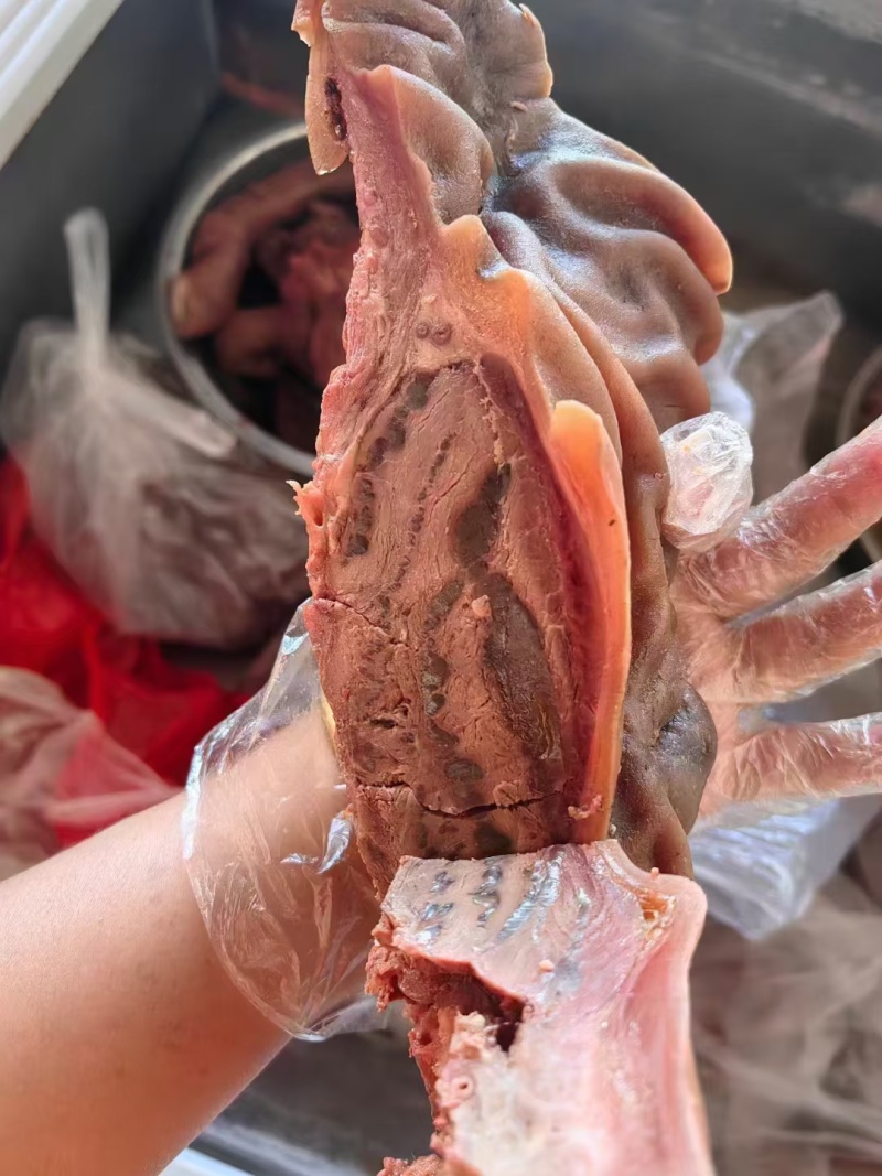 五香带皮熟马肉全国发货可快递物流量大优惠欢迎来电咨询